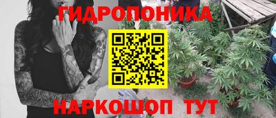 ПСИЛОЦИБИНОВЫЕ ГРИБЫ Первоуральск