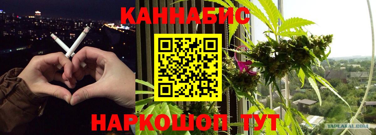 Каннабис конопля Нефтекумск